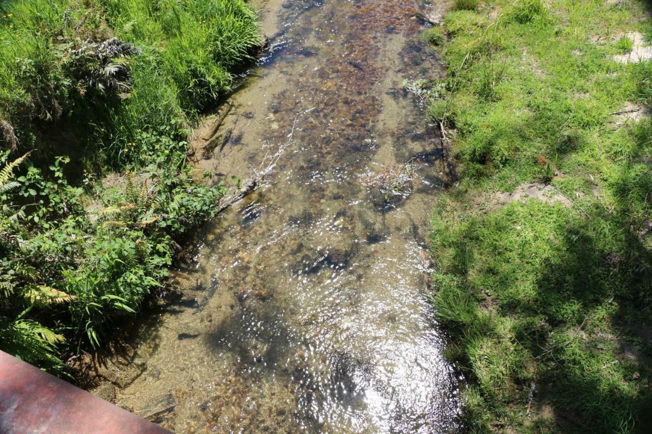 Unwind In Paradise Valley Trout At Your Door Rotorua Eksteriør bilde